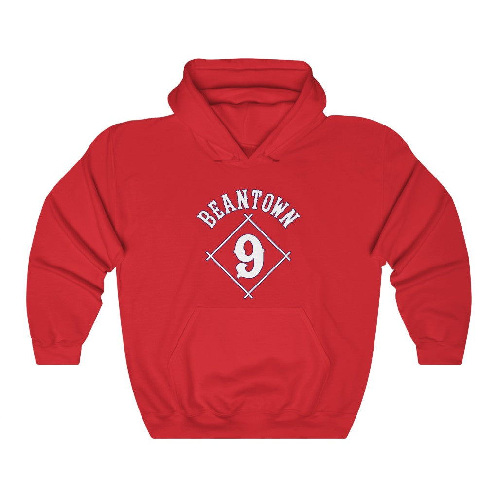 Boston: hoodie