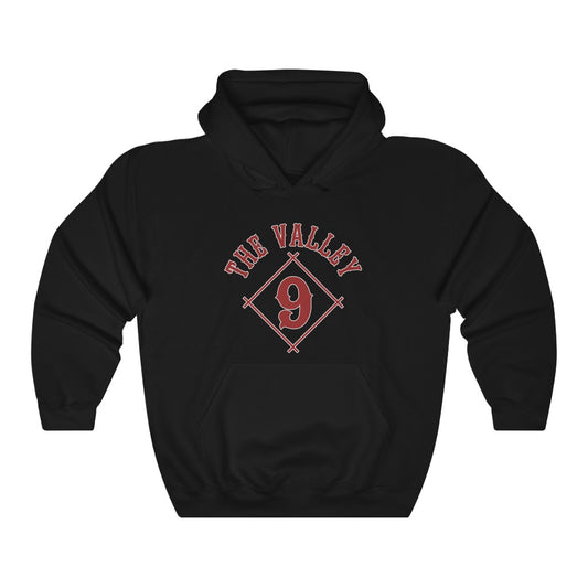 Arizona: hoodie