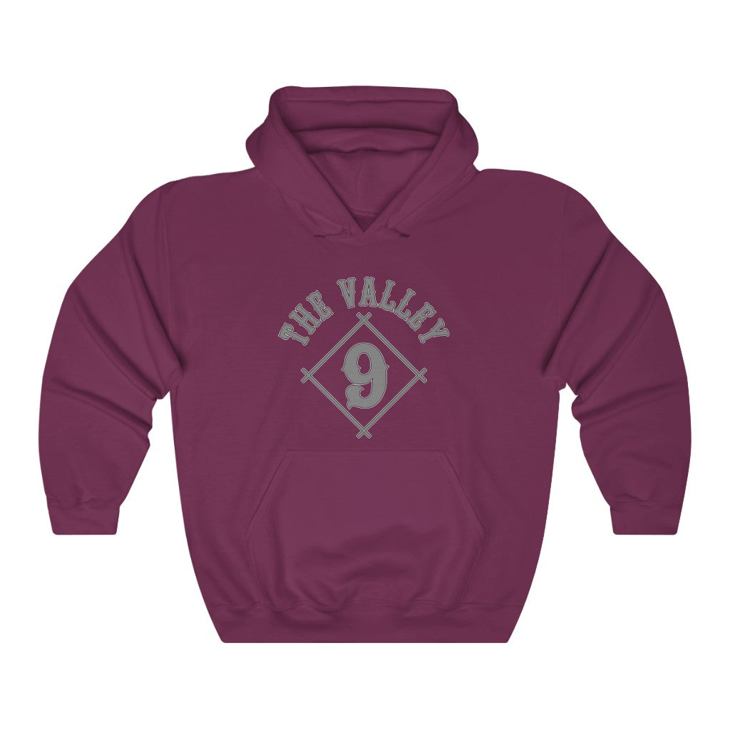Arizona: hoodie