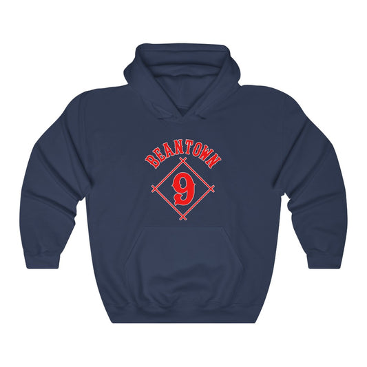 Boston: hoodie