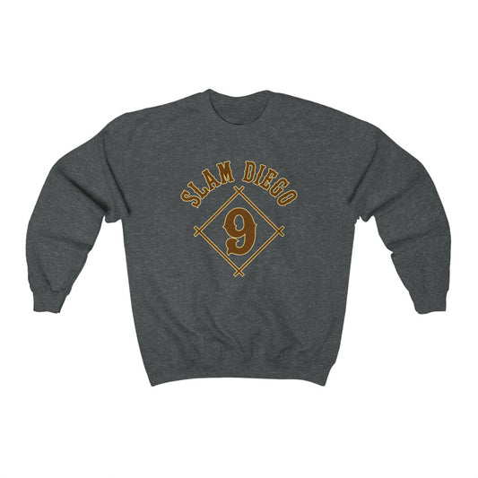 San Diego: sweatshirt