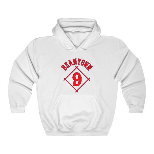 Boston: hoodie