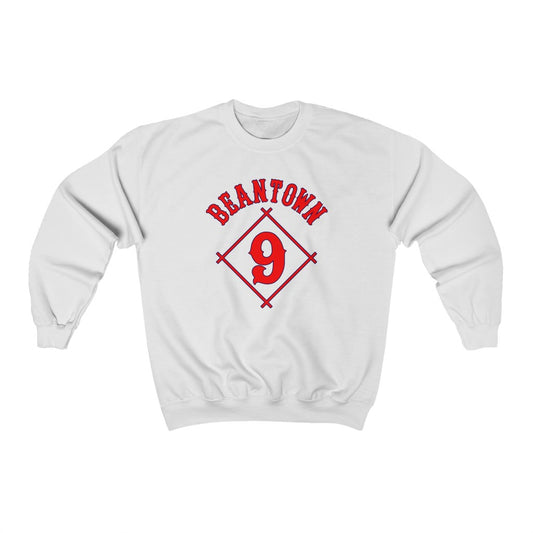 Boston: sweatshirt